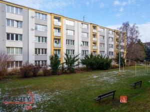 Pronájem bytu 3+kk, Litoměřice - Předměstí, Družstevní, 52 m2