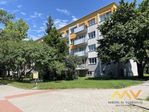 Prodej bytu 2+1, Hradec Králové - Slezské Předměstí, Markovická, 63 m2