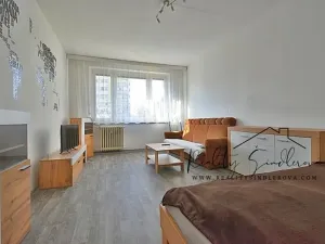 Pronájem bytu 1+1, Přerov, Sokolská, 40 m2