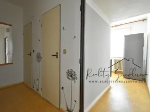 Pronájem bytu 1+1, Přerov, Sokolská, 40 m2