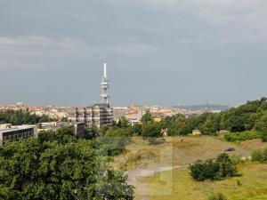 Pronájem bytu 2+kk, Praha - Žižkov, Pitterova, 65 m2