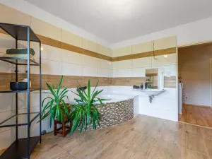 Prodej rodinného domu, Dešenice, 146 m2