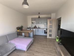 Pronájem bytu 2+kk, Městec Králové, Malátova, 44 m2