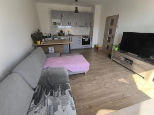 Pronájem bytu 2+kk, Městec Králové, Malátova, 44 m2