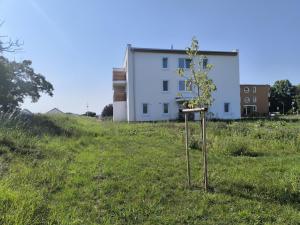 Pronájem bytu 2+kk, Městec Králové, Malátova, 44 m2