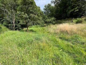 Prodej chaty, Roubanina, 80 m2