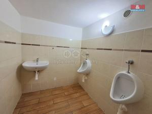Pronájem obchodního prostoru, Karlovy Vary - Rybáře, Sokolovská, 120 m2