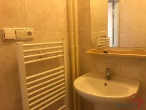 Pronájem bytu 1+kk, Zlín, Padělky II, 20 m2
