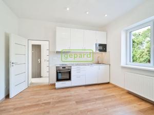 Pronájem bytu 1+kk, Libice nad Cidlinou, Mánesova, 27 m2