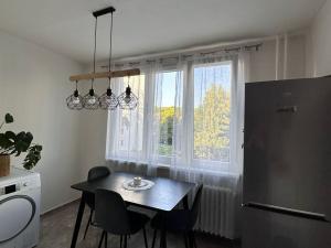 Pronájem bytu 1+1, Děčín - Děčín VI-Letná, 44 m2