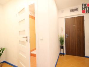 Prodej bytu 1+1, Liberec - Liberec XII-Staré Pavlovice, Letná, 40 m2