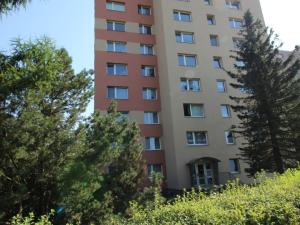 Prodej bytu 1+1, Liberec - Liberec XII-Staré Pavlovice, Letná, 40 m2