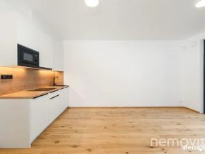 Pronájem bytu 1+kk, Praha - Nusle, Muzikova, 32 m2