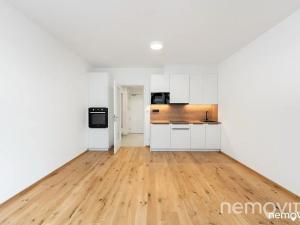 Pronájem bytu 1+kk, Praha - Nusle, Muzikova, 32 m2