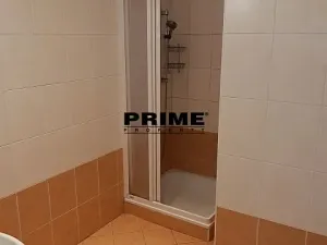 Pronájem bytu 3+kk, Praha - Nové Město, Záhořanského, 124 m2