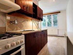Pronájem bytu 1+1, Domažlice, Švabinského, 42 m2