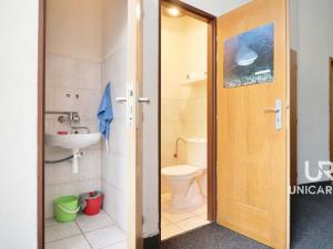 Pronájem obchodního prostoru, Brno - Husovice, Dukelská třída, 240 m2
