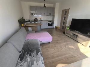 Pronájem bytu 2+kk, Městec Králové, Malátova, 44 m2