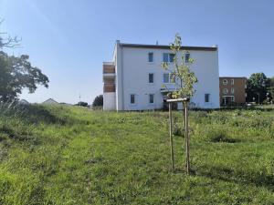 Pronájem bytu 2+kk, Městec Králové, Malátova, 44 m2