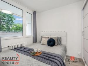 Prodej bytu 2+kk, Praha - Braník, Jílovská, 36 m2
