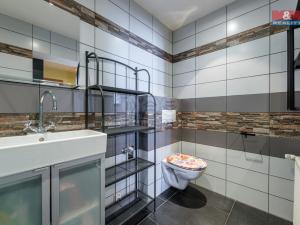 Prodej rodinného domu, Stříbrná, 326 m2