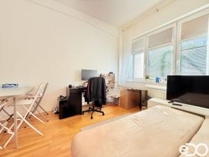 Pronájem bytu 1+kk, Praha, Telčská, 35 m2