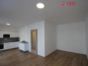 Pronájem bytu 1+kk, Praha, Štěchovická, 40 m2