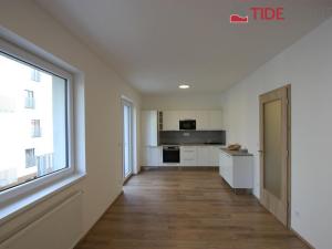 Pronájem bytu 1+kk, Praha, Štěchovická, 40 m2