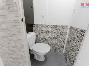Prodej bytu 2+1, Ústí nad Labem - Severní Terasa, Kmochova, 60 m2