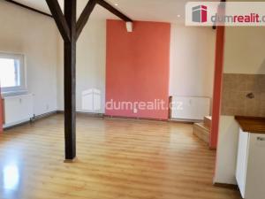 Pronájem bytu 1+kk, Ústí nad Labem - Ústí nad Labem-centrum, Důlce, 43 m2