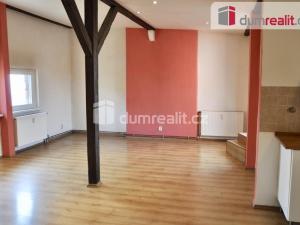 Pronájem bytu 1+kk, Ústí nad Labem - Ústí nad Labem-centrum, Důlce, 43 m2