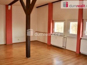 Pronájem bytu 1+kk, Ústí nad Labem - Ústí nad Labem-centrum, Důlce, 43 m2