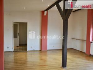 Pronájem bytu 1+kk, Ústí nad Labem - Ústí nad Labem-centrum, Důlce, 43 m2