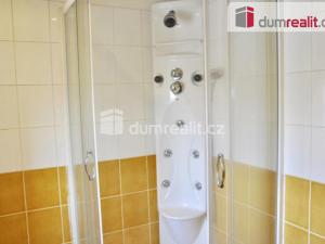 Pronájem bytu 1+kk, Ústí nad Labem - Ústí nad Labem-centrum, Důlce, 43 m2