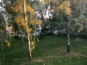 Prodej bytu 1+1, Ostrava, Zlepšovatelů, 36 m2