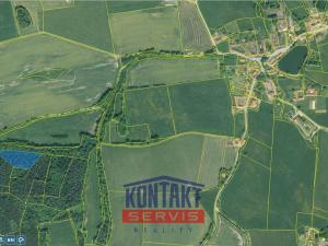 Prodej lesa, Hracholusky - Žitná, 6862 m2