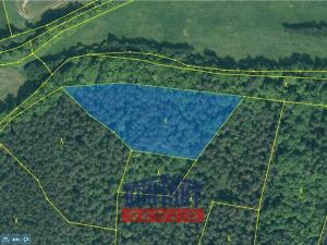 Prodej lesa, Hracholusky - Žitná, 6862 m2