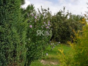 Prodej rodinného domu, Brušperk, K Pastevníku, 95 m2