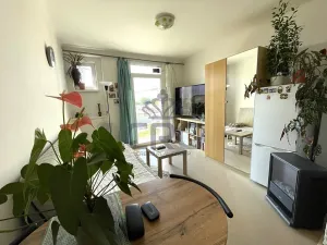 Pronájem bytu 1+kk, Brno, Mlýnská, 23 m2