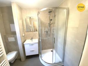 Pronájem bytu 1+1, Mohelnice, Staškova, 43 m2