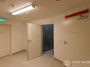 Pronájem bytu 2+kk, Praha - Karlín, Sokolova, 58 m2