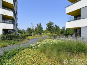 Pronájem bytu 2+kk, Praha - Karlín, Sokolova, 58 m2
