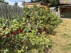 Prodej chalupy, Studená - Maršov, 328 m2