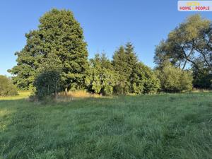 Prodej chalupy, Studená - Maršov, 328 m2