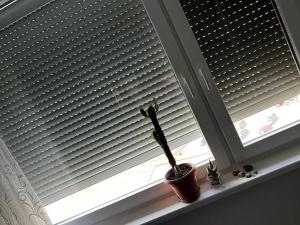 Prodej bytu 3+1, Chrudim, Na Ostrově, 83 m2