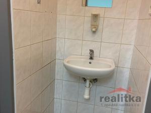 Pronájem obchodního prostoru, Opava - Předměstí, Sadová, 500 m2