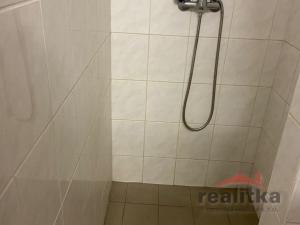 Pronájem obchodního prostoru, Opava - Předměstí, Sadová, 500 m2