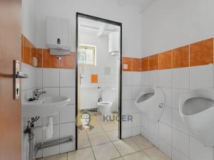 Prodej rodinného domu, Velká Chmelištná, 550 m2