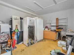 Prodej rodinného domu, Velká Chmelištná, 550 m2