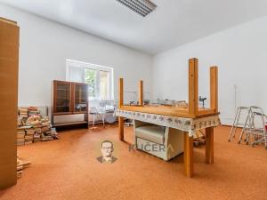 Prodej skladu, Velká Chmelištná, 550 m2